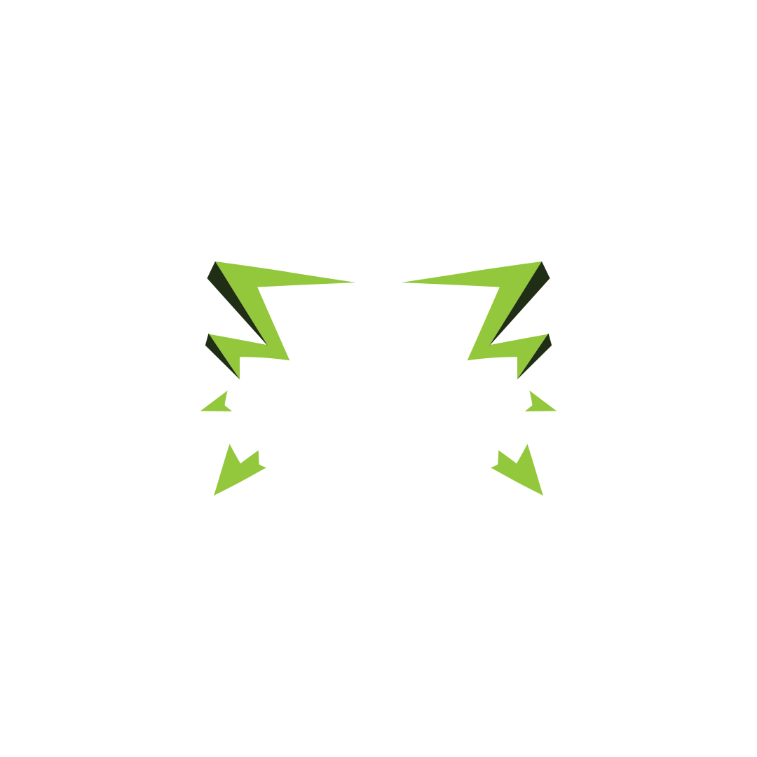 Top Shot